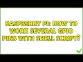 Raspberry Pi How to work several GPIO pins with shell script
