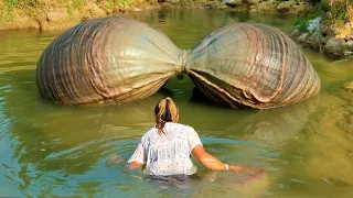 Discovering An Extremely Unique River Clam The Girl Excitedly Harvested Its Enchanting Treasure 