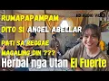 Download Lagu Herbal nga Utan by Halamana | cover by @AngelAbellar_16  and El Fuerte Band