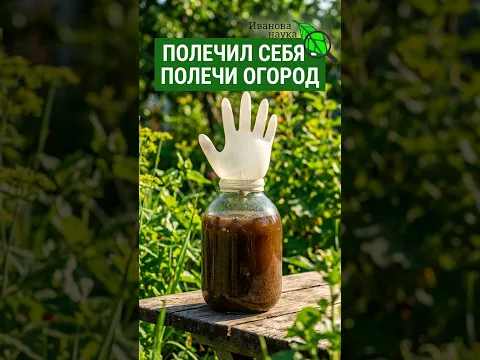 🍶 Очищение почвы ВОДКОЙ, СПИРТОМ и БРАГОЙ. Лечение всех болезней огорода без затрат