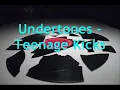 Undertones - Teenage Kicks w/lyrics