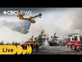 Download Lagu Halifax wildfire 'human-caused' say Nova Scotia officials