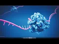 Download Lagu Purification Your Way: siRNA to mRNA