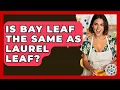 Is Bay Leaf The Same As Laurel Leaf - The Skillful Chef