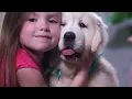 If Your Dog Sleeps With You, Watch This [Science Explains]