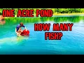 Stocking The Pond With Fish