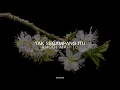 Download Lagu Anggi Marito_Tak Segampang Itu(Lirik)