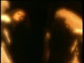 Kuşlar - Yaşar