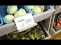 Download Lagu Week van het geld  - Op bezoek bij Super Sociaal