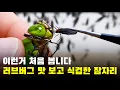 Download Lagu A dragonfly that tastes like a love bug and gets cold