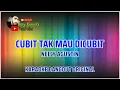 Download Lagu CUBIT TAK MAU DI CUBIT NELLY AGUSTIN || KARAOKE DANGDUT ORIGINAL