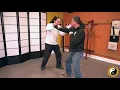 Shaolin 5 Animals Shaolin Dragon Style Kung Fu Training