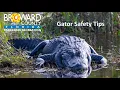 Alligator Safety Tips at Everglades Holiday Park