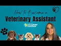 How to Become a Veterinary Assistant start in as little as 4 months