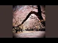 Download Lagu 季節外れのさくら