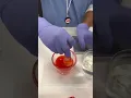 Ever wonder what pharmacy technicians do Check out our PharmTech program