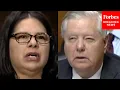 Do You Think We re Supporting The Occupation Of Palestine Lindsey Graham Grills Judicial Nominee