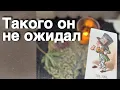 Download Lagu ⁉️ Он Все Понял про Тебя и теперь в Шоке...  🍁🧡♣️ таро расклад ♥️ онлайн гадание