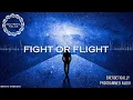 Download Lagu Fight or Flight / Energetically Programmed Audio / Maitreya Reiki™
