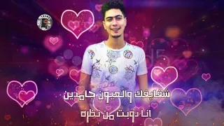 حالات وتس  حمو الطيخا   بت انا بحبك قوليلي بسرعه بيتك فين    حالات واتس مهرجنات        دندنها
