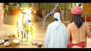 क्यों श्री कृष्ण और साईं ने मिलकर किया माता कामधेनु गाय का आवाहन? @saibaba3350