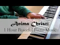 Download Lagu Anima Christi - Marco Frisina - Peaceful Piano Music [1 HOUR]
