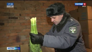 В Омске проверяют цветочников