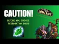 Should You Main Resto Druid in Classic Era Tips Recommendations