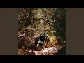Download Lagu Another California Song
