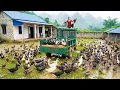 Lagu Selling Lots Of Duck After 200 Days Of Raising - Use Truck Transport Many Duck Go To Sell