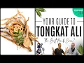 Download Lagu Tongkat Ali Benefits - The Best Herb Ever? | The ATP Project 364