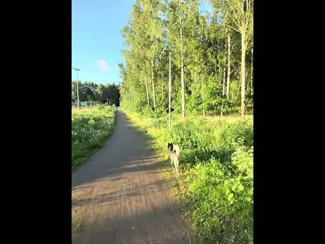 IMG 0348