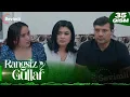 Download Lagu Rangsiz gullar 35-qism (milliy serial) | Рангсиз гуллар 35-қисм (миллий сериал)