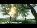 Orchard Trees v1 1 - Asset Store