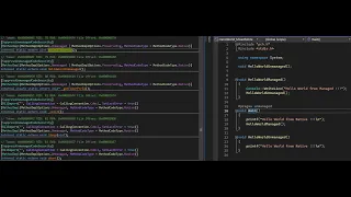 Reverse Engineering Mixed Mode Assemblies IDA DnSpyEx
