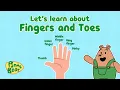 Download Lagu Finger Names in English | Fingers and Toes | Educational Video | Pants Bear Kids | Cartoons