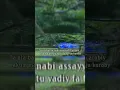 Download Lagu Ya 'Ala Baitin Nabi - Sulis (Cinta Rasul 4) #shorts