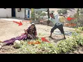 Download Lagu Harvesting the Fruit of the Garden: The Second Lady's Anger and Jealousy Towards the First Lady.....