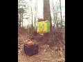 Barnett terrain xt 30 yards