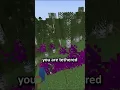 day 121 of making a Minecraft plugin everyday till 4 038 subscribers