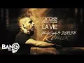 Download Lagu DJ ROSS feat. Kumi - La Vie (French Candy \u0026 DJOSH Remix)