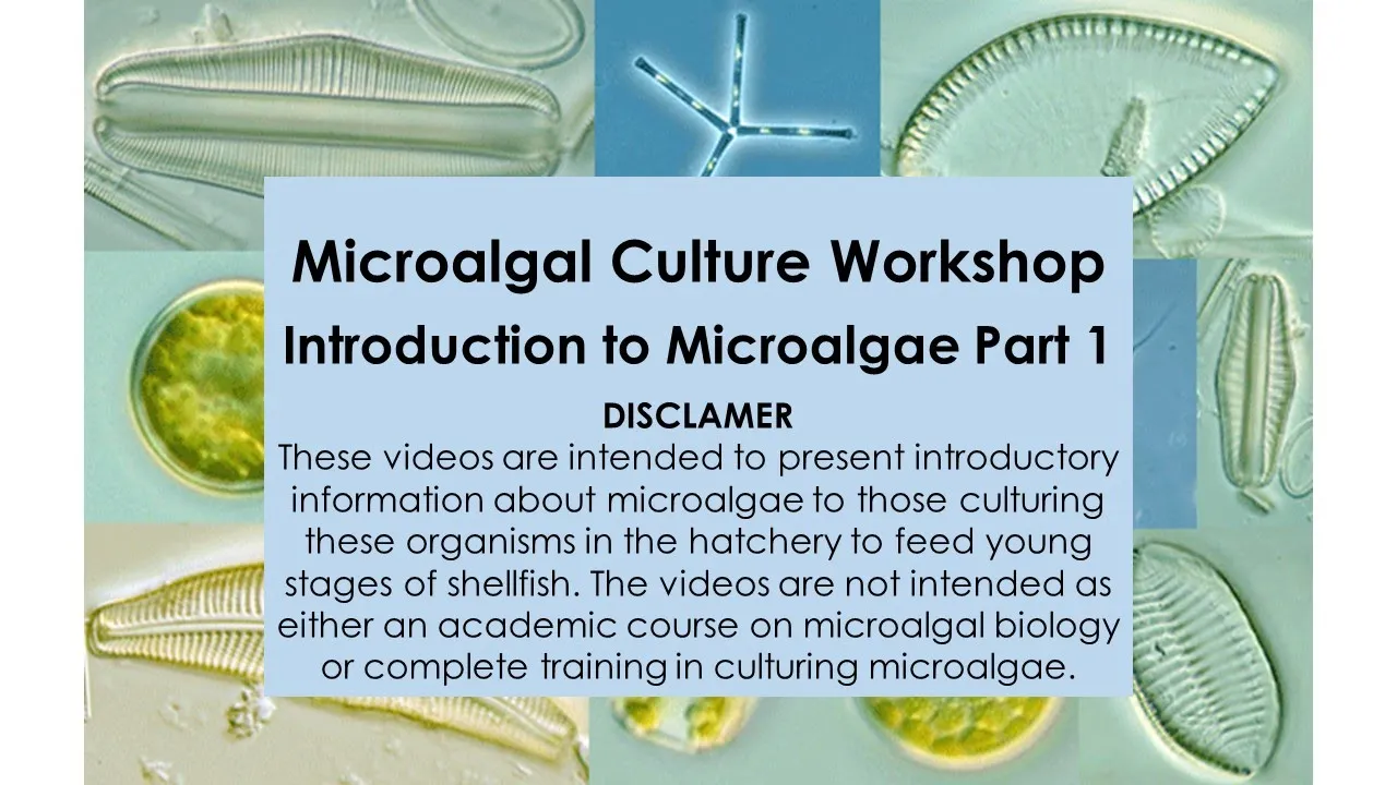 2 Microalgal Culture Workshop Introduction to Microalgae