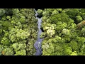 Download Lagu TRAVEL OVER THE PEAT FORESTS OF KALIMANTAN