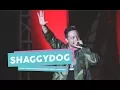 Download Lagu [HD] Shaggydog - Ditato (Live at PROJAM FEST Maguwoharjo Sleman Yogyakarta, 20 Mei 2017)