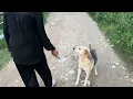 Download Lagu Thăm nhà Sonam - Mua quà cho Fan