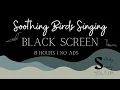 Lagu Suara Burung yang Menenangkan | 8 Jam Tanpa Iklan | Layar Hitam