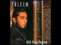 Download Lagu SALEEM Cinta Yang Aku Punya