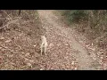 팀 사유 2023 졸업전시작- 명상의 시간 with  'Peter gregson'의 [Mirror]