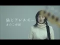 きのこ帝国 - 猫とアレルギー