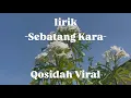 Lagu LIRIK SEBATANG KARA | QOSIDAH GAMBUS VIRAL